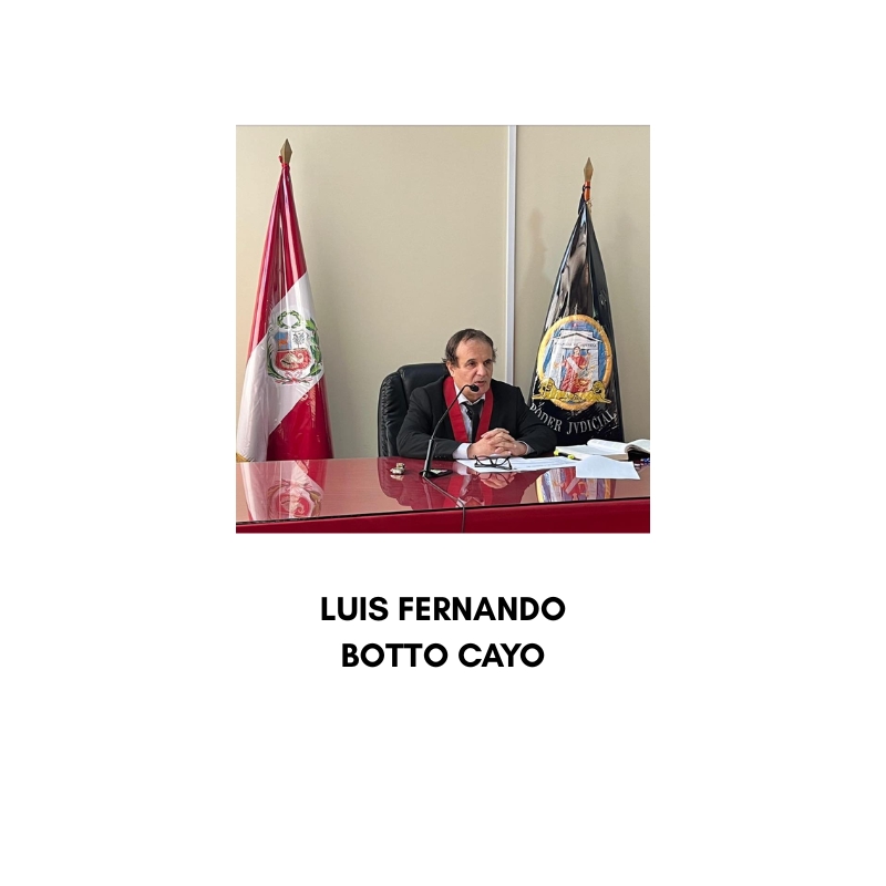 El reconocimiento constitucional del derecho de acceso libre a internet en la Constitución Política de 1993 – Luis Fernando Botto Cayo - Imagen 3
